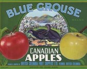 Blue Grouse Bird Canadian apple crate label
