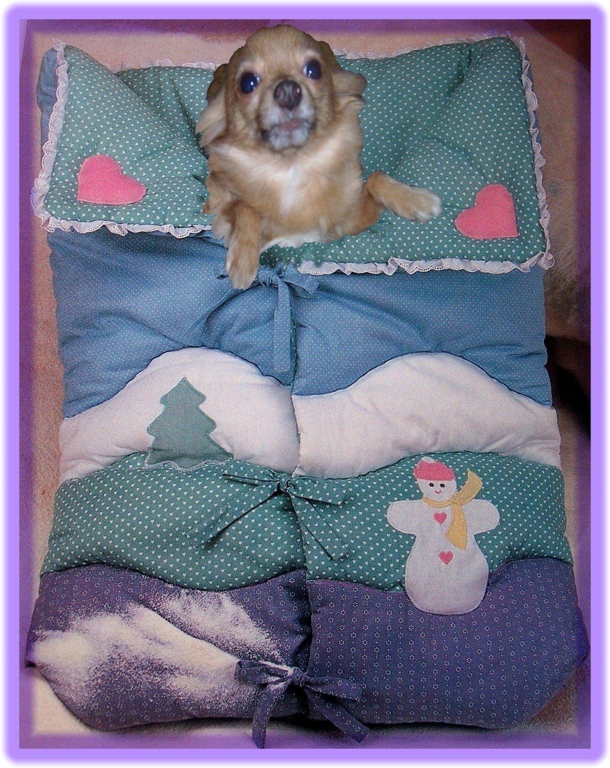 Sewing Pattern SNOW BABY BUNTING Quilted and warm for your furbabie