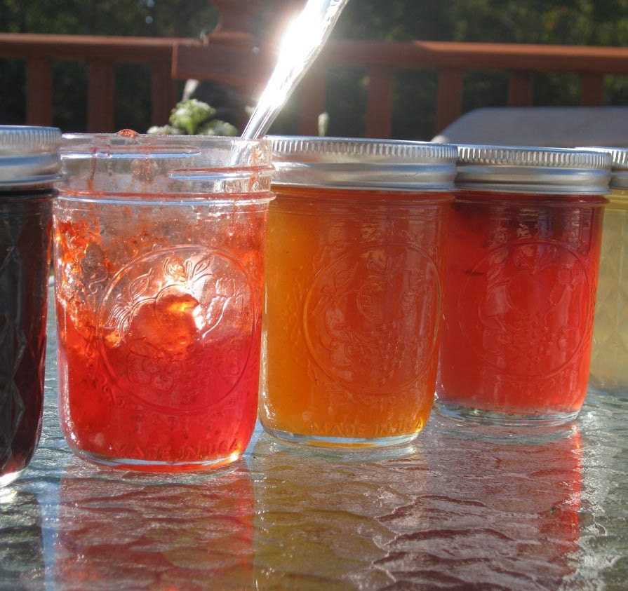 Jam Class for 5- Learn from YOUR Kitchen - Living Eco Friendly & Sustainable