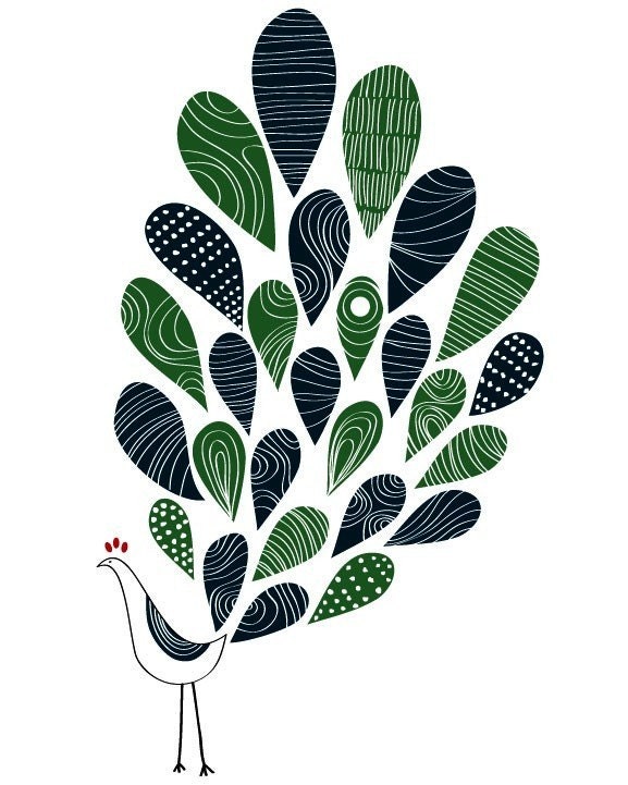 Large 13 x 19 / A Little Peacock Print / Navy and Green