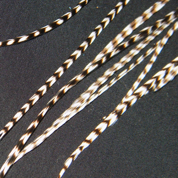 Grizzly Hair Feather Extension Long Rooster Skinny Streamer for Hair 8-12" Salon Grade Just saddle feathersWhiting Saddle