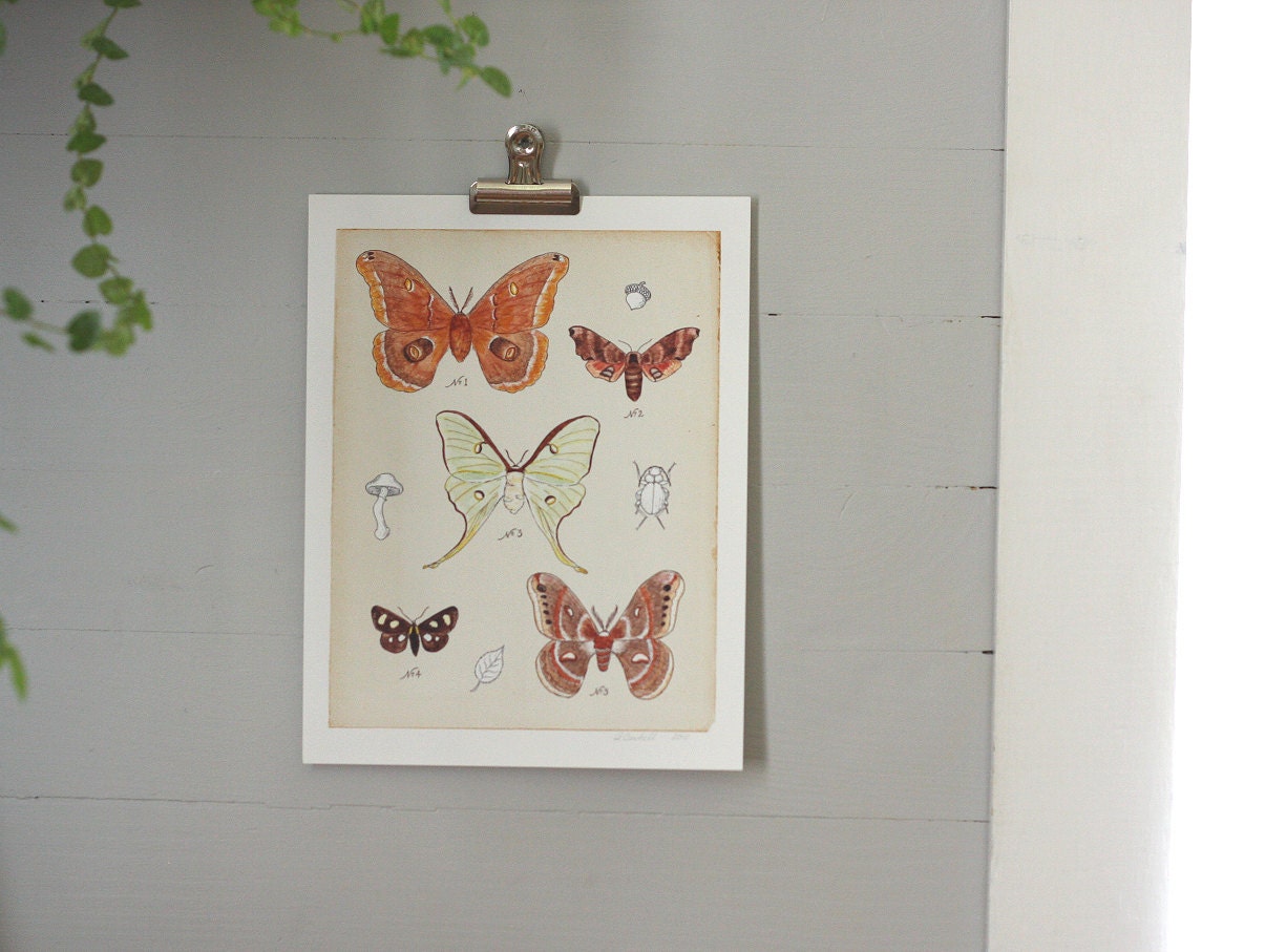 Moths Print - Digital - Printable PDF