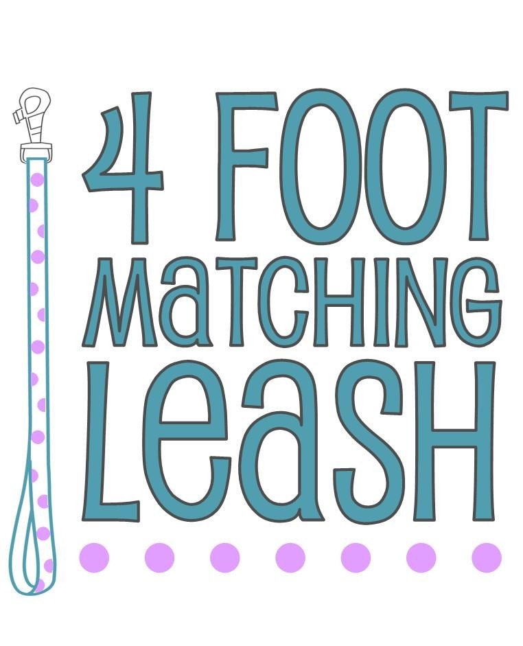 Matching 4-Foot Dog Leash