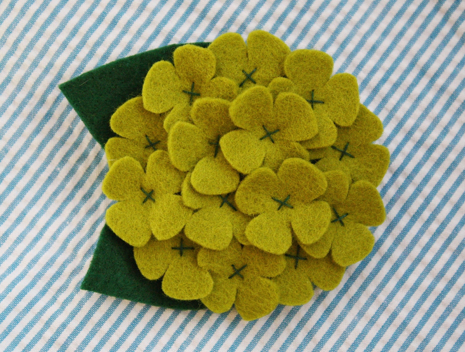 Dog Collar Flower - Green Hydrangea