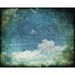 Bird Photograph - Wanderlust, 8x10 Fine Art Photography Print by Tricia McKellar
