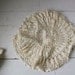 vintage doilies, set of 4. 1930s - 1950s. oat, flax, cream.
