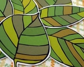 Lots of Leaves