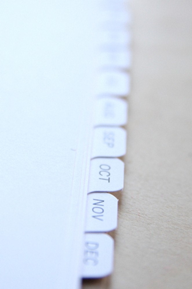 2011 laurel denise planner