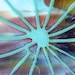 Fused Glass Art Plate in Turquoise, Brown, and White