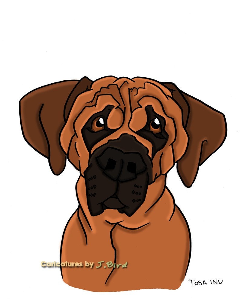 8x10 Tosa Inu dogicature print
