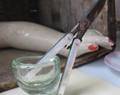 victorian vintage sewing or purse scissors germany foldable tools mother of pearl handable 1900s
