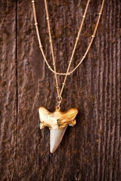 Gold Shark Tooth Necklace