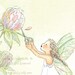 New Sweet Clover and Friends  8 X10 Print By Becky Kelly