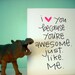 i love you because you are awesome