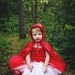 Little Red Riding Hood Tutu Costume - sizes 3 through 5 only Halloween Costume