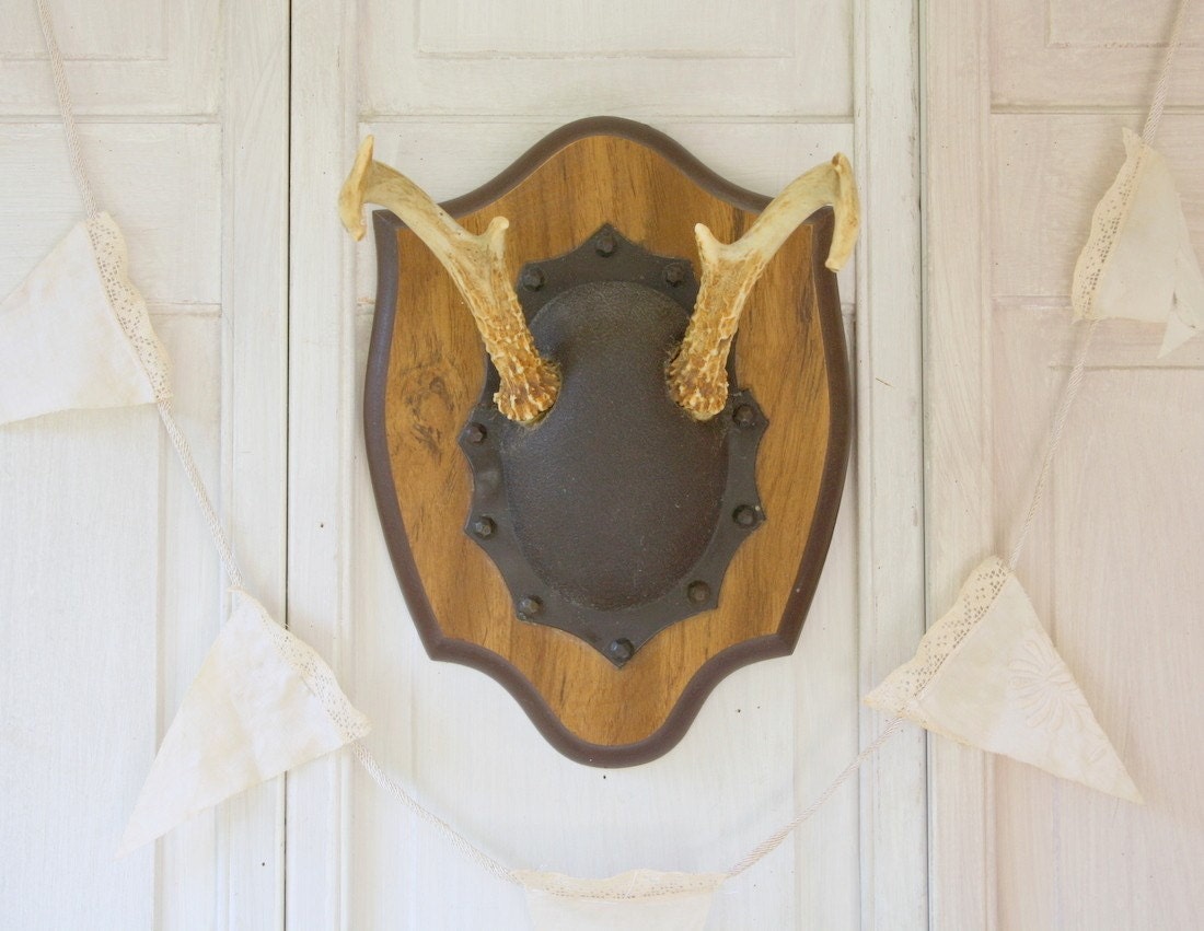Vintage Mounted Antlers  - West Virginia - 1978