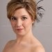 Soft White or Light Ivory Feather Flower Birdcage Fascinator with Jet Black Accents - Bree