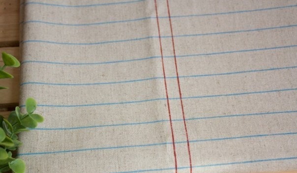 Zakka Beige Khaki Red Blue Stripes Notebook Lines Cloth Fabric 55 x 19 Inches