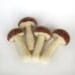 Felted Mushrooms in Mixed Brown Set of Four Made To Order Nature Home Decor