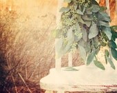 Fine art photography - Cottage yard landscape green garden white natural light