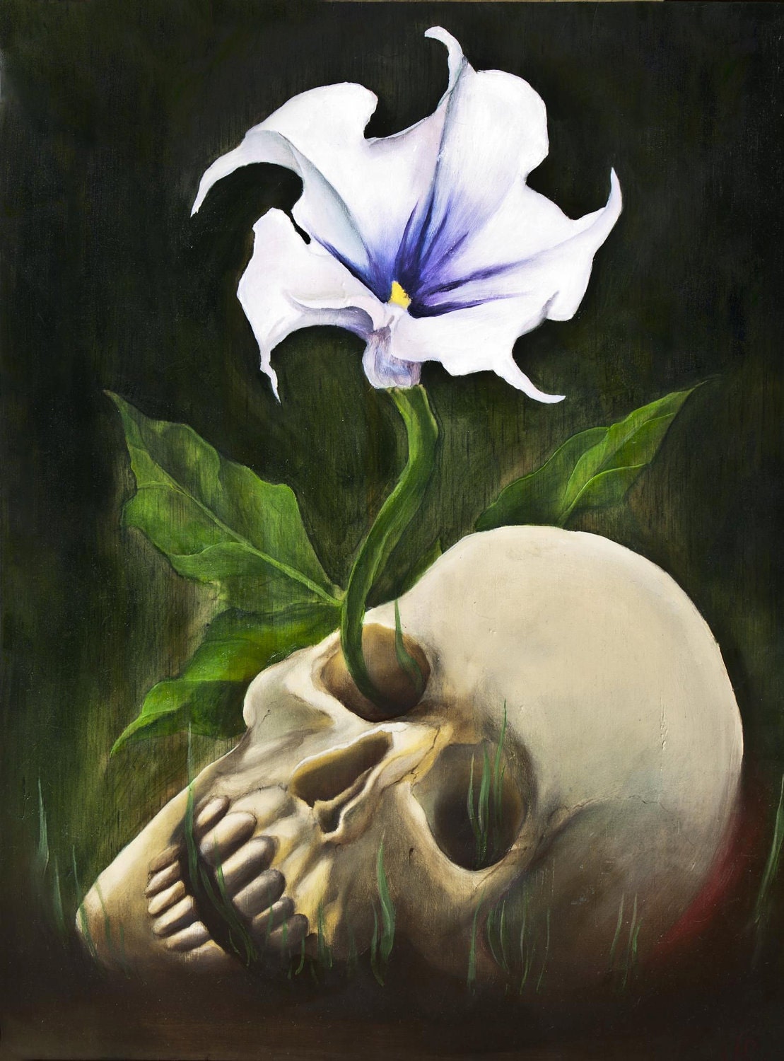 Vita Brevis - Open Edition fine art print - oil painting reproduction