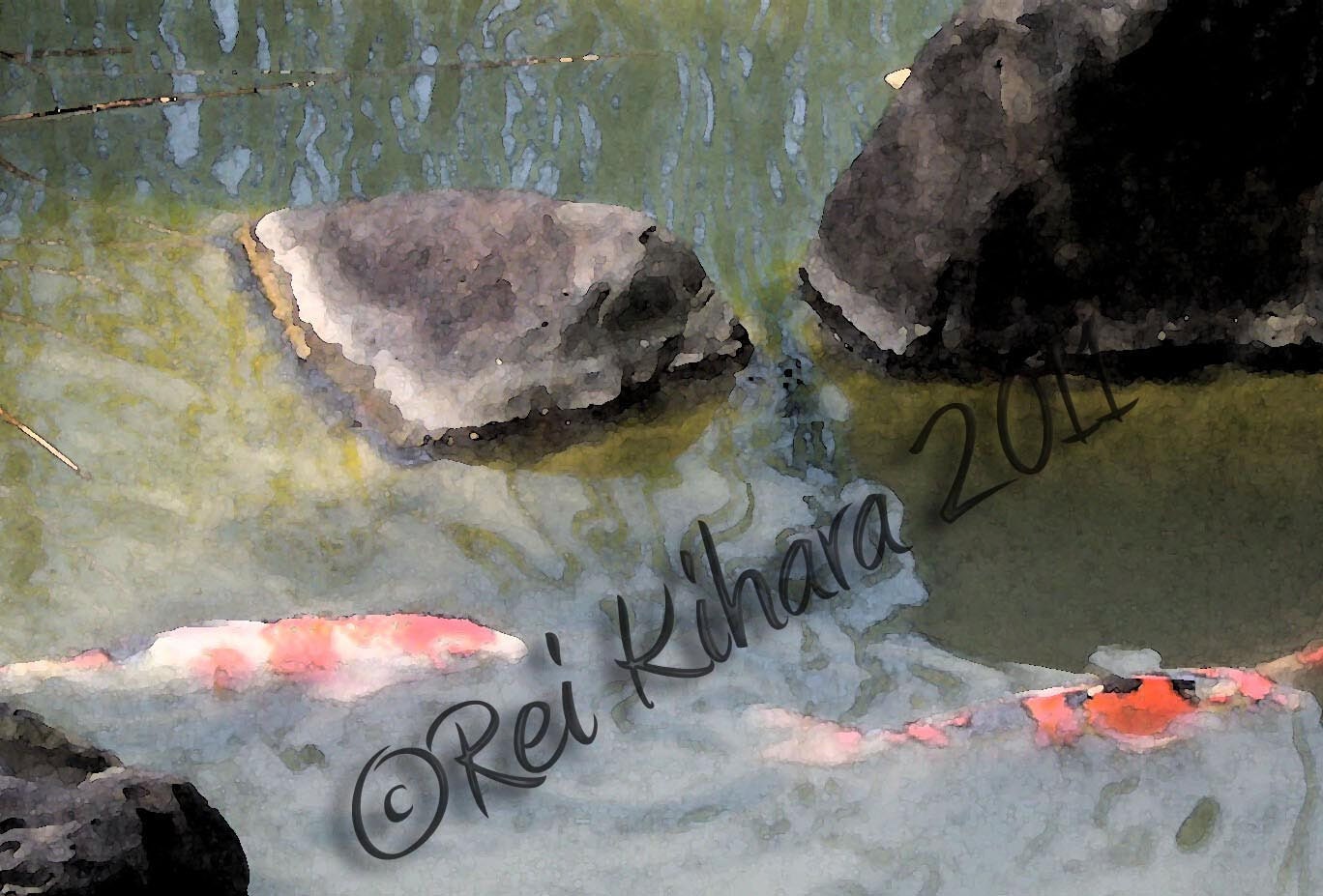 Two Koi in a Japanese pond 8x10 Watercolor print