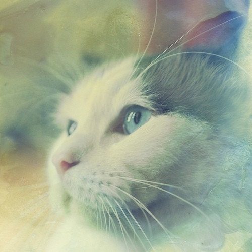 We All Dream 6x6 Print