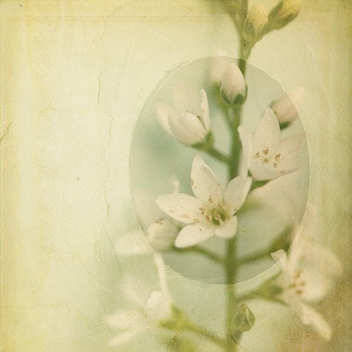 What You See 8x8 Print