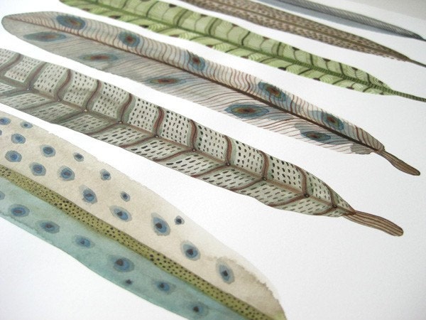 Fanciful Feather Collection No. 10 original fine art watercolor painting