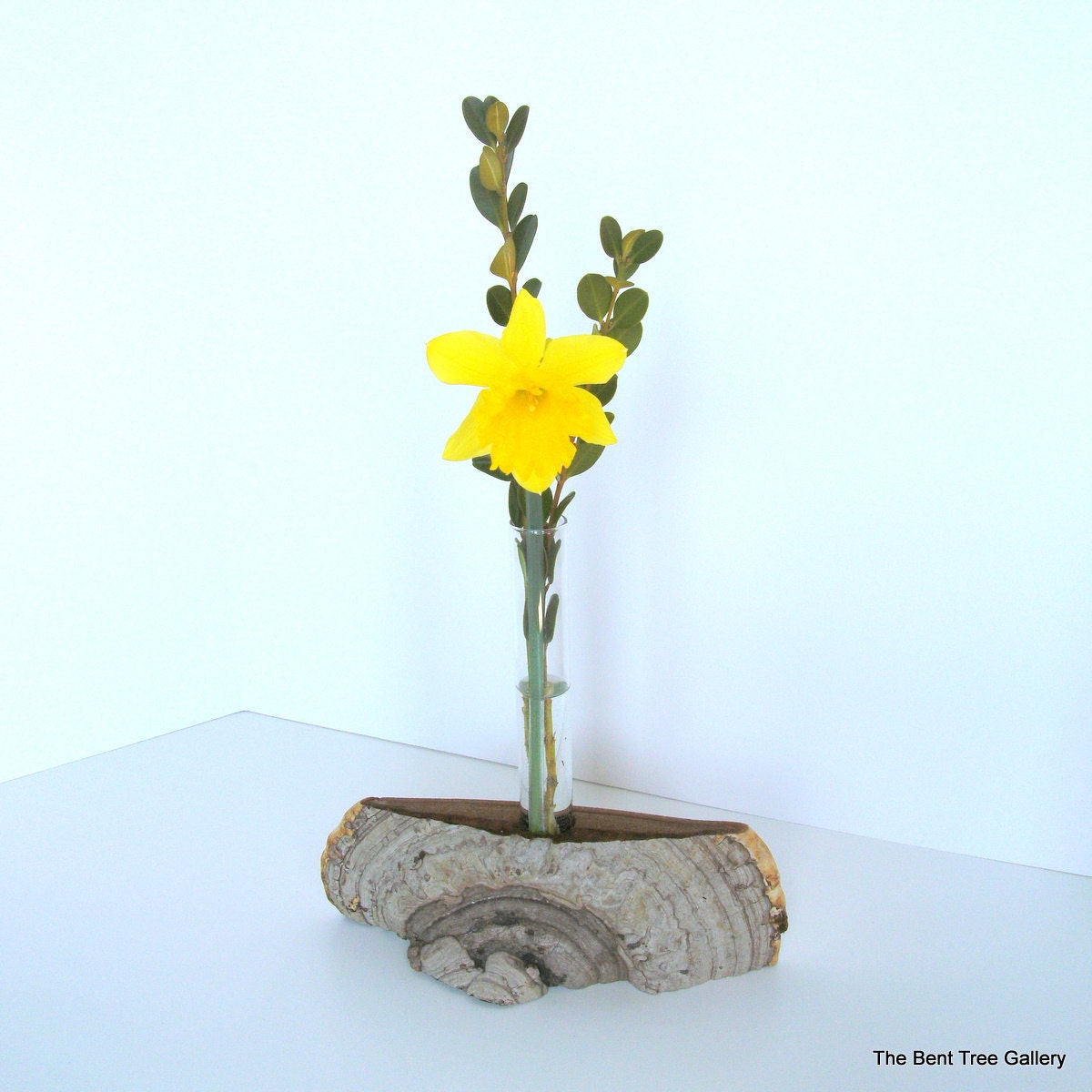 Mushroom Vase