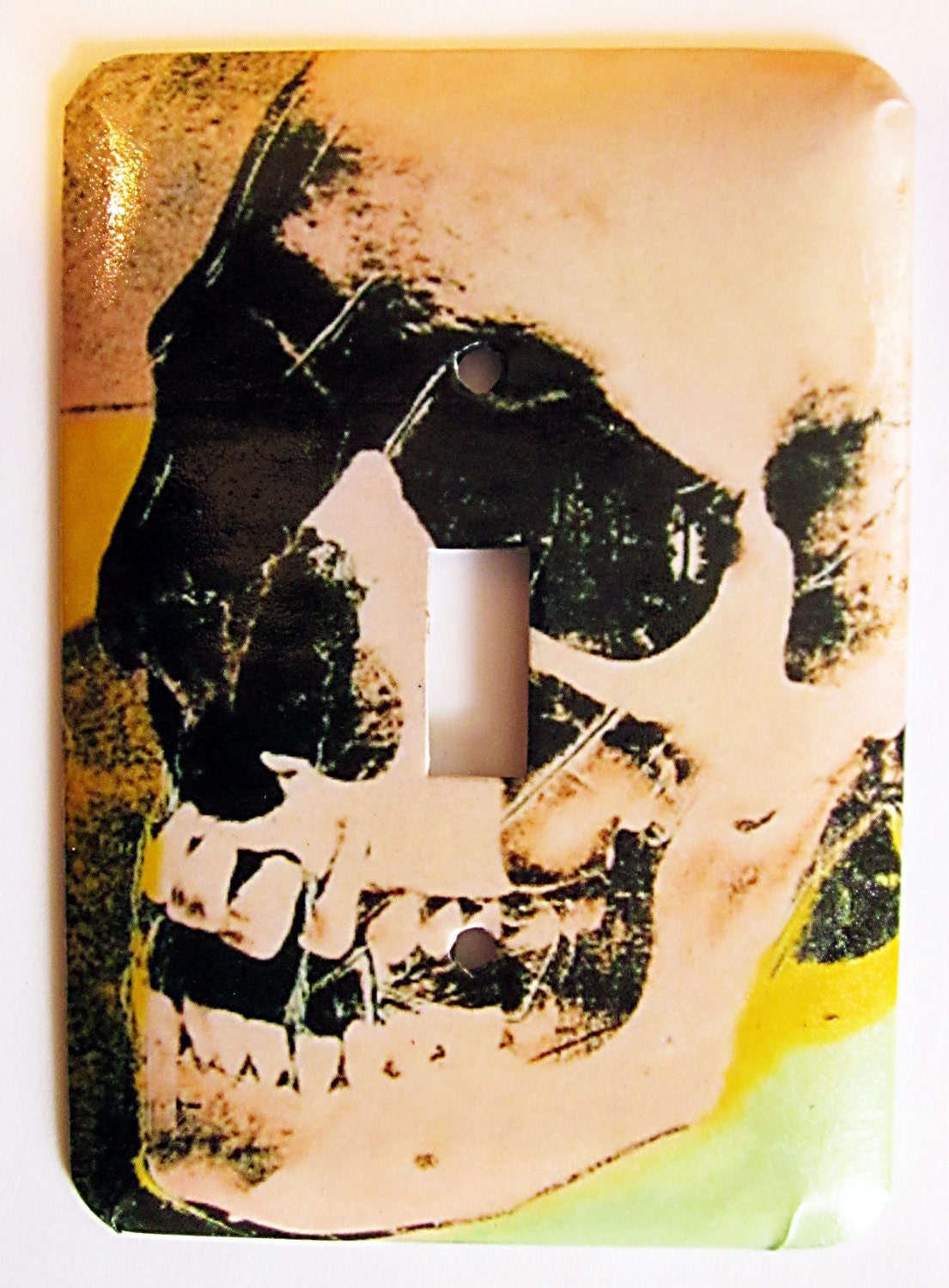 Warhol's Skull Switchplate