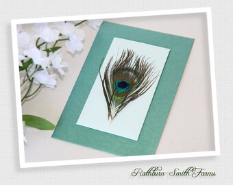 50 Peacock Wedding Favors, Customized Favors for Anniversary, Bridal Showers, Garden Party Flower Seed Favor, Handmade Seed Packet