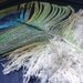 Peacock Feather Painting - Mixed Media Original - Constructed in String