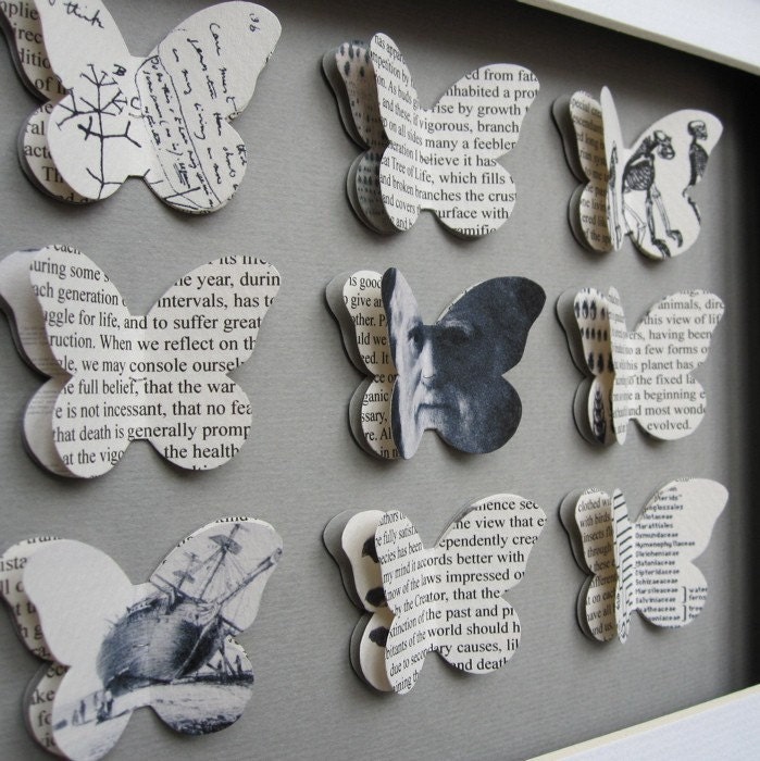 Darwin. Origin of Species. Butterfly Framed art