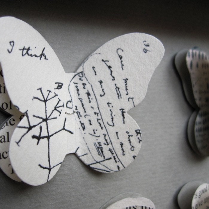 Darwin. Origin of Species. Butterfly Framed art