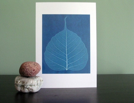 Leaf Veins- High-Quality 5x7 Giclee Print of Original Cyanotype Artwork