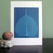 Leaf Veins- High-Quality 5x7 Giclee Print of Original Cyanotype Artwork