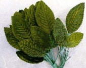 Vintage  Green Velvet Rose Leaves Small  (6)