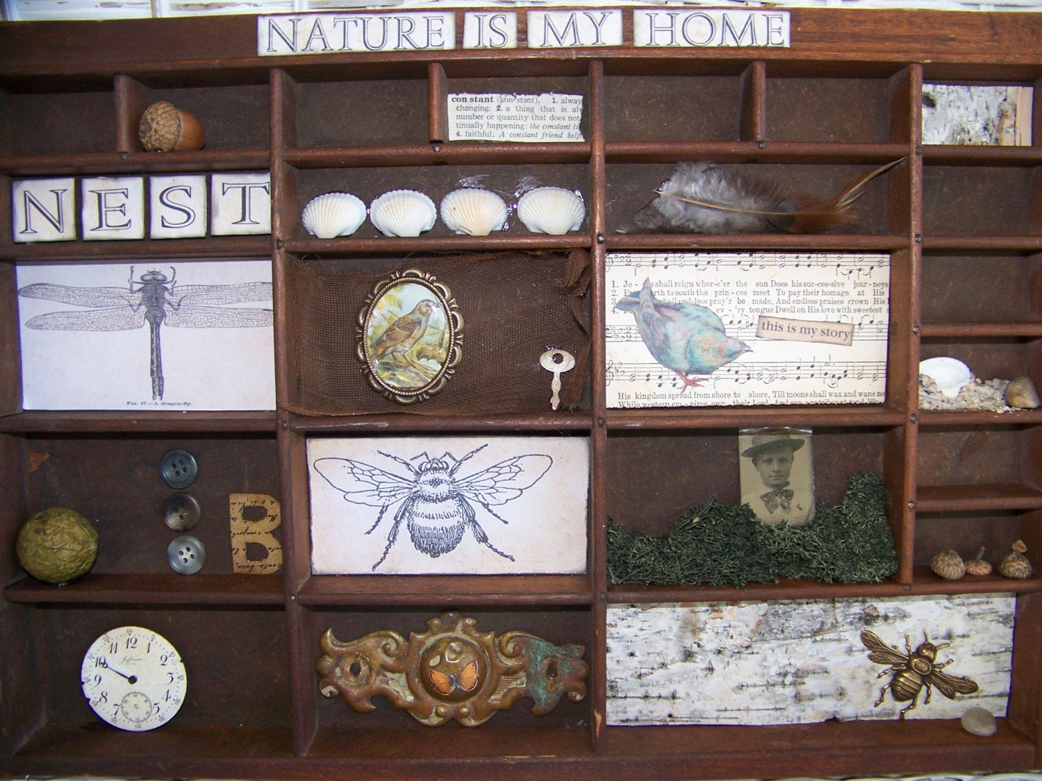 MARKED DOWN Original Vintage Printers Drawer Nature Assemblage  Mixed Media Shadowbox