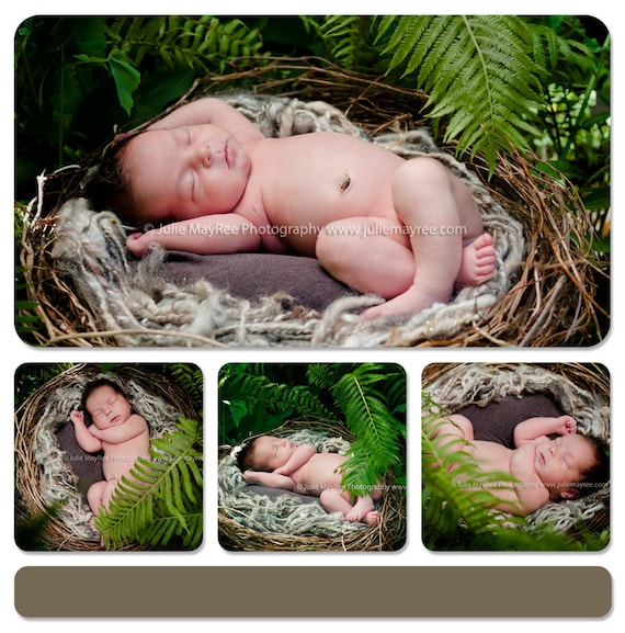 Large Twig and Vine Realistic Birds Nest Photo Prop
