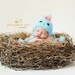 Large Twig and Vine Realistic Birds Nest Photo Prop