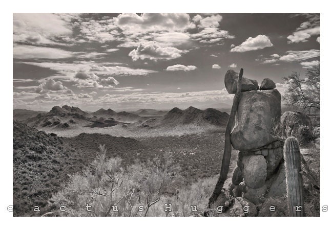 Tucson, Desert Photo, Arizona Art, Fine Art Photograph, Desert Landscape, Sepia, 11x17