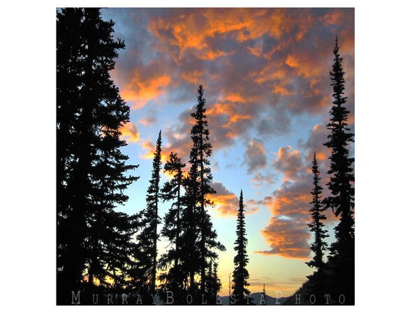 Washington State, Northwest Forest, Cascades, Mountain Sunset, 10x10
