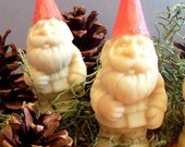 Gnome Soap Handmade Oatmeal Soap Scented with Cinnamon Il_170x135