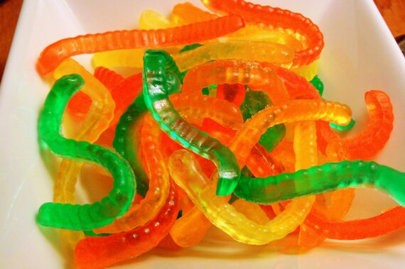 Fruity Worm Soap Set Il_570xn
