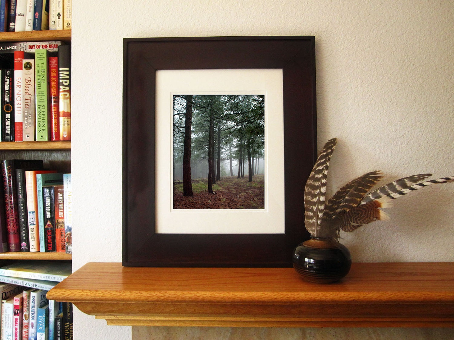 Landscape Photography -Enchanted Forest -11x14 Print -Woodland Decor -Nature Photography -Colorado Fine Art Photography