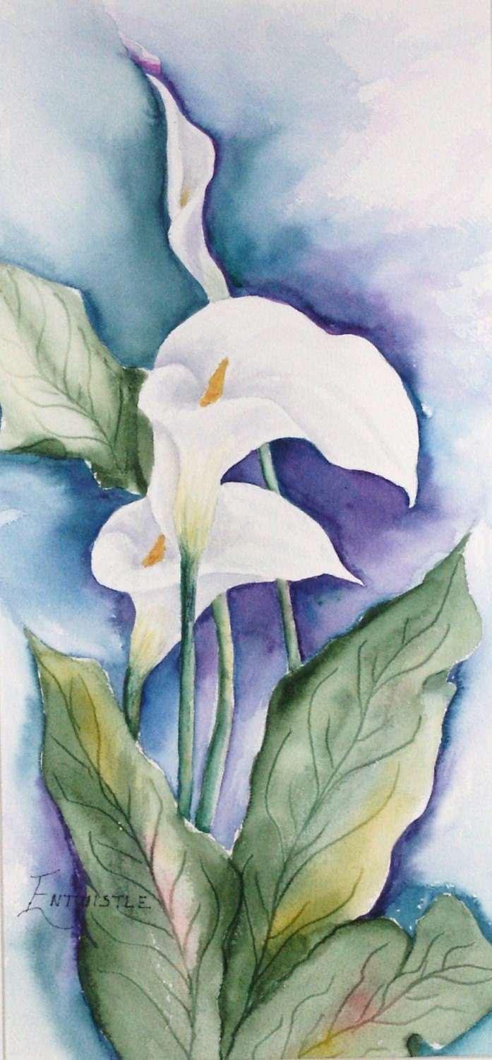 John's Tall Lillies 11 x 14 Print