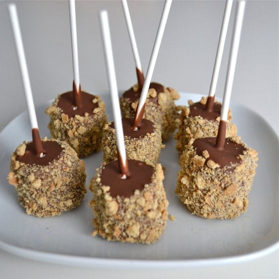 Chocolate Marshmallow Graham S'mores 2 Dozen Il_570xn