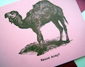 Vulgar Wanna Hump Suggestive Funny Valentine Card