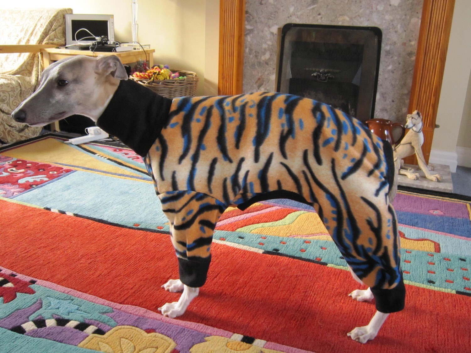 dogs pyjamas